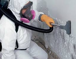 Best Asbestos and Lead Testing During Mold Inspection in Hahira, GA